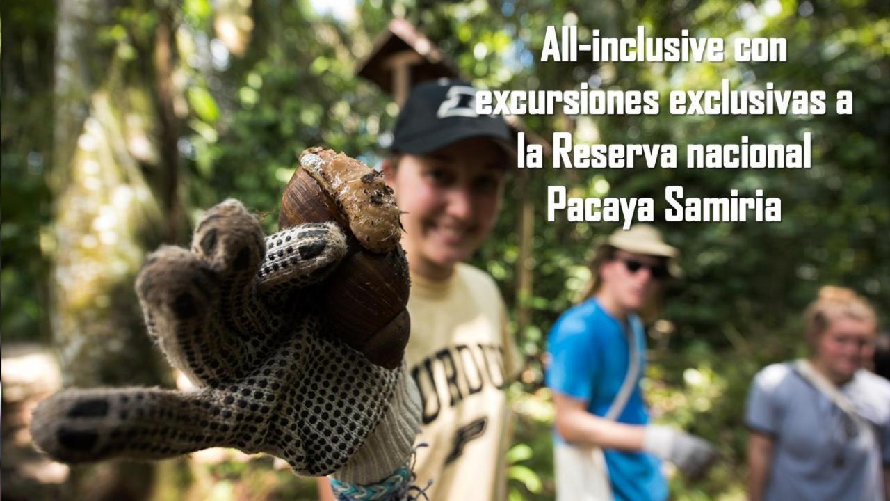 Lodge Pacaya Samiria Amazon Nauta