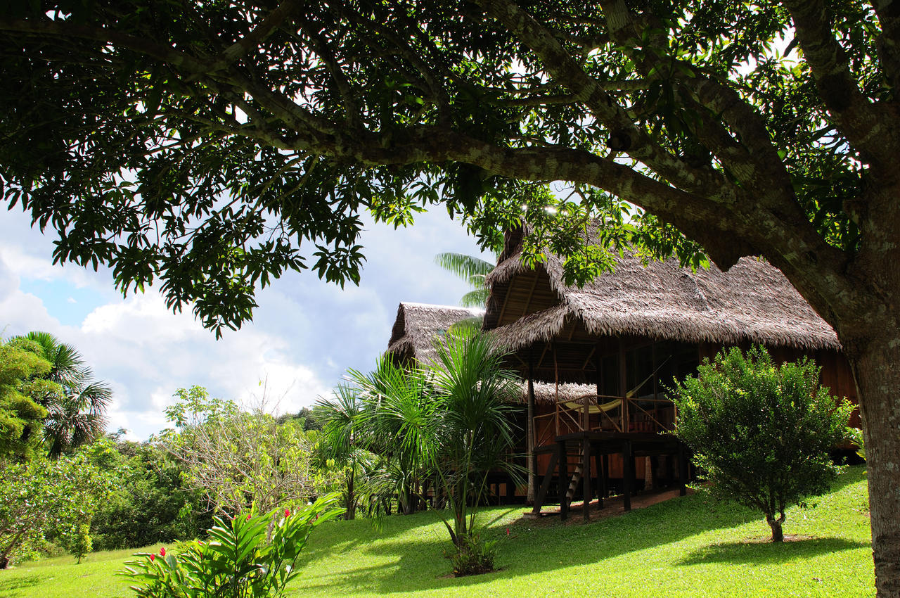 Lodge Pacaya Samiria Amazon Nauta