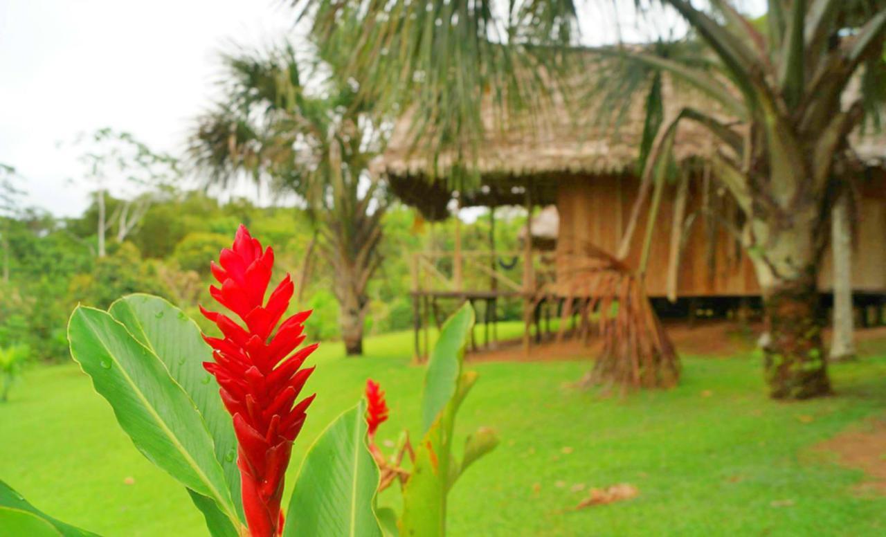 Pacaya Samiria Amazon Lodge *